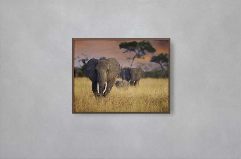 Quadro-Decorativo-Illuminato-Elefantes