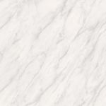 CERAMICA-PISO-FORTE-508X508-PALMAS-GR-BRILHANTE-APEI4-233
