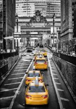 Quadro-Decorativo-Home-Center-New-York-Taxi-2-Goods-BR-40x60x4cm