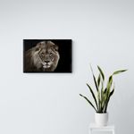 QUADRO-DECORATIVO-HOME-CENTER-LION-GOODS-BR-60X40X4CM