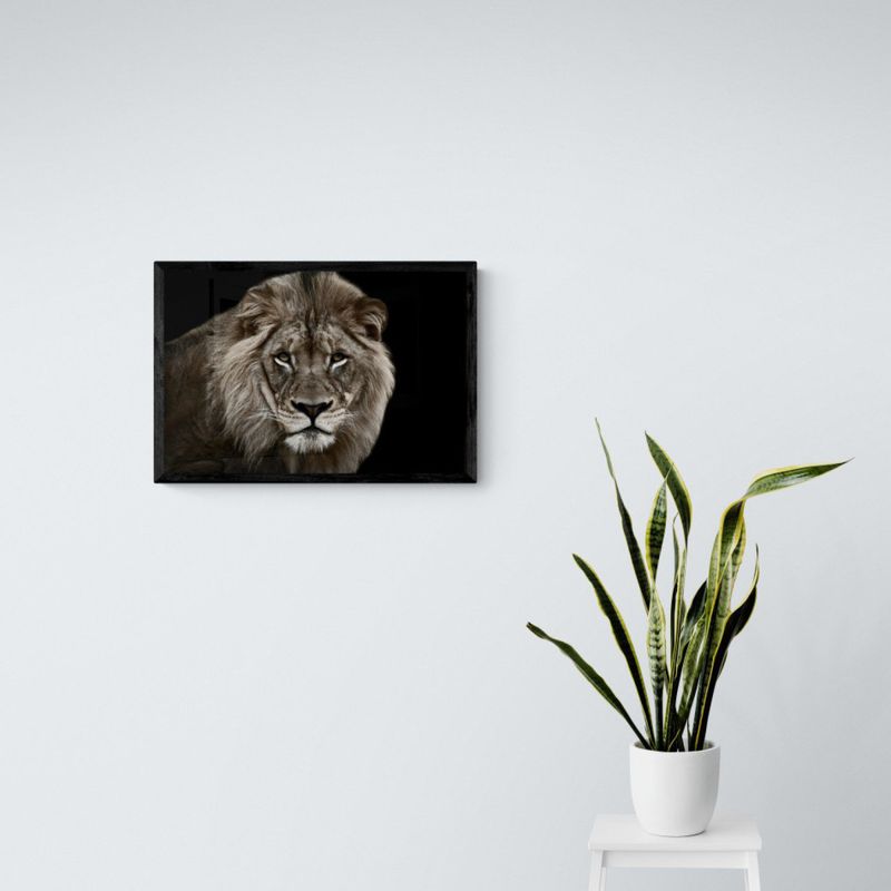 QUADRO-DECORATIVO-HOME-CENTER-LION-GOODS-BR-60X40X4CM