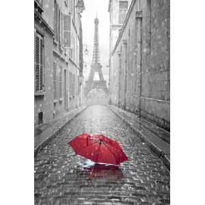 Quadro Decorativo Home Center Paris Preto e Branco Goods BR 40x60x4cm