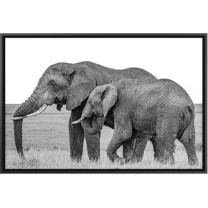 Quadro Decorativo Belchior Animais 10 Com Vidro 90x60cm