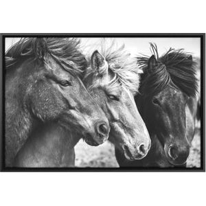 Quadro Decorativo Belchior Animais 8 Com Vidro 90x60cm