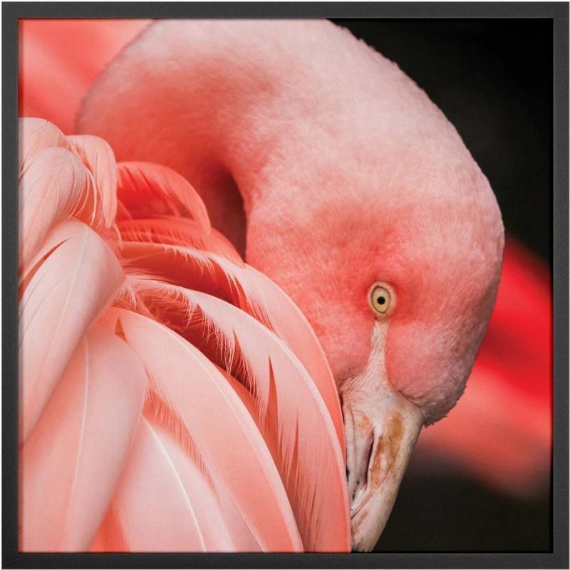 Quadro-Decorativo-Belchior-Animais-5-40x40cm