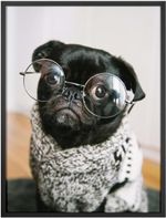 Quadro-Decorativo-Belchior-Animais-3-32x42cm