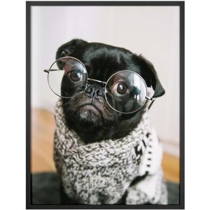 Quadro Decorativo Belchior Animais 3 32x42cm