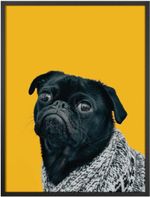 Quadro-Decorativo-Belchior-Animais-2-32x42cm