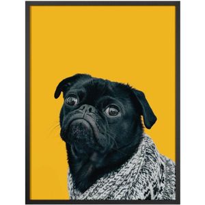 Quadro Decorativo Belchior Animais 2 32x42cm