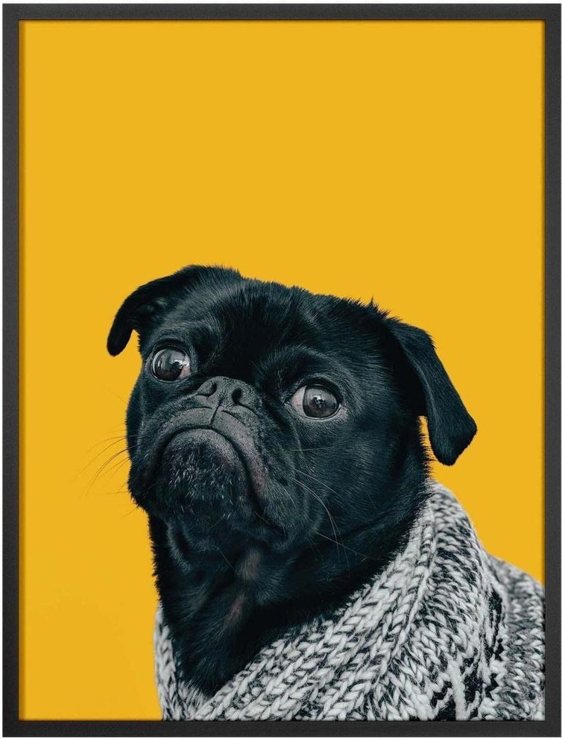 Quadro-Decorativo-Belchior-Animais-2-32x42cm