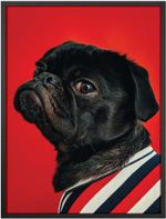 Quadro-Decorativo-Belchior-Animais-1-32x42cm