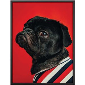 Quadro Decorativo Belchior Animais 1 32x42cm