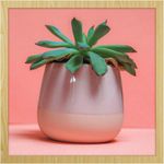 Quadro-Decorativo-Belchior-Folhagem-13-30x30cm