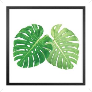 Quadro Decorativo Belchior Folhagem 11 Com Vidro 60x60cm