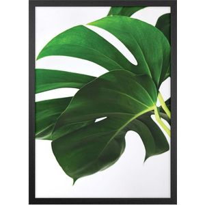 Quadro Decorativo Belchior Folhagem 10 Com Vidro 50x70cm