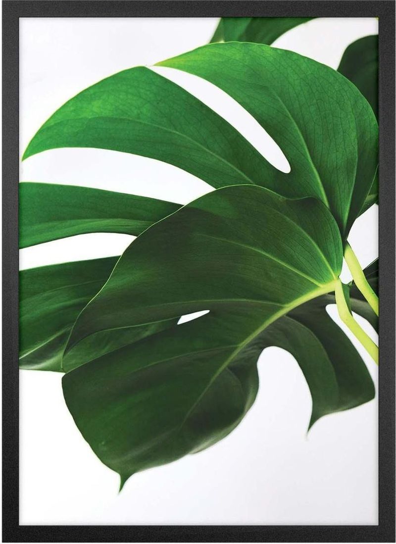 Quadro-Decorativo-Belchior-Folhagem-10-Com-Vidro-50x70cm