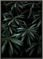 Quadro-Decorativo-Belchior-Folhagem-8-Com-Vidro-50x70cm