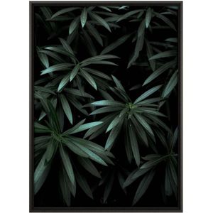 Quadro Decorativo Belchior Folhagem 8 Com Vidro 50x70cm