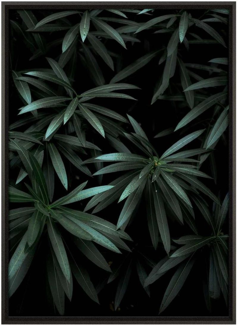 Quadro-Decorativo-Belchior-Folhagem-8-Com-Vidro-50x70cm