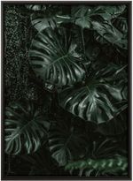 Quadro-Decorativo-Belchior-Folhagem-7-Com-Vidro-50x70cm