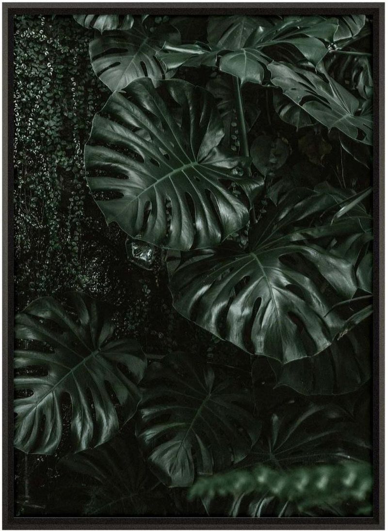 Quadro-Decorativo-Belchior-Folhagem-7-Com-Vidro-50x70cm