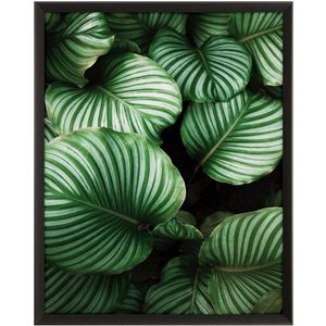 Quadro Decorativo Belchior Folhagem 6 Com Vidro 50x70cm