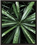 Quadro-Decorativo-Belchior-Folhagem-5-Com-Vidro-50x70cm