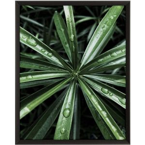 Quadro Decorativo Belchior Folhagem 5 Com Vidro 50x70cm