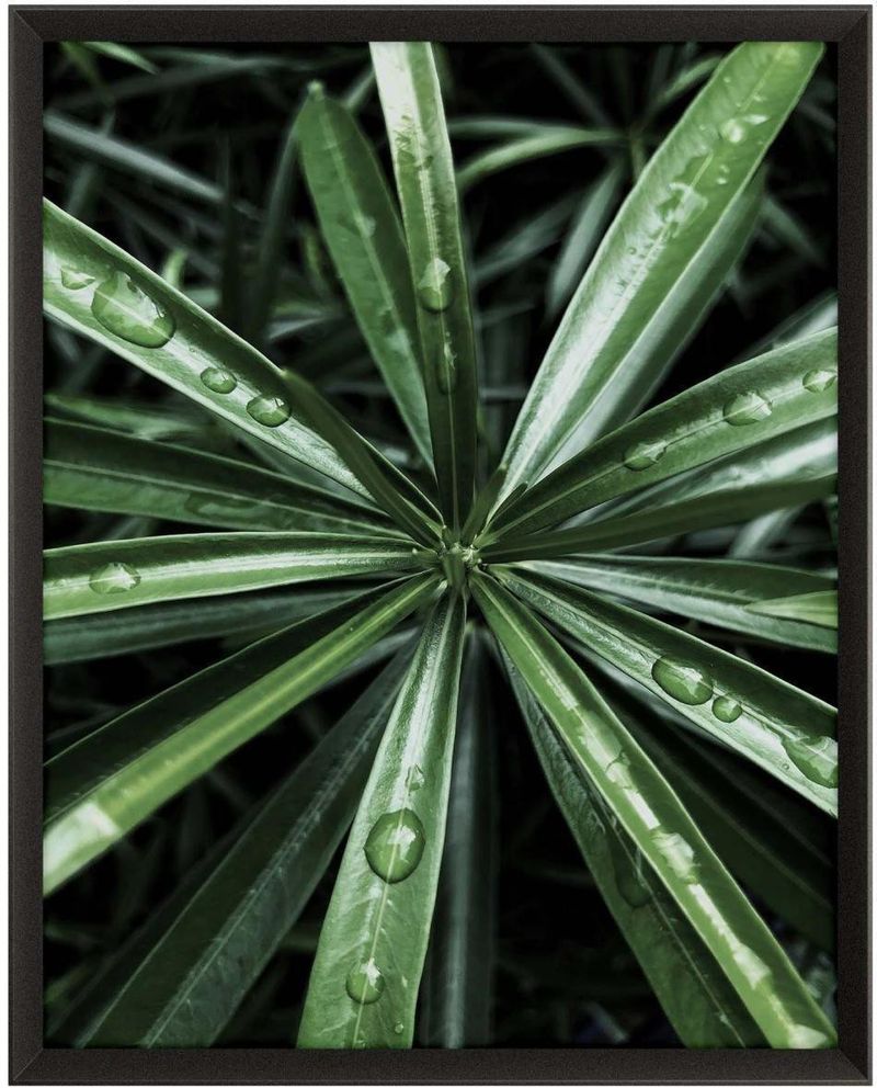 Quadro-Decorativo-Belchior-Folhagem-5-Com-Vidro-50x70cm