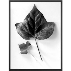 Quadro Decorativo Belchior Folhagem 3 32x42cm
