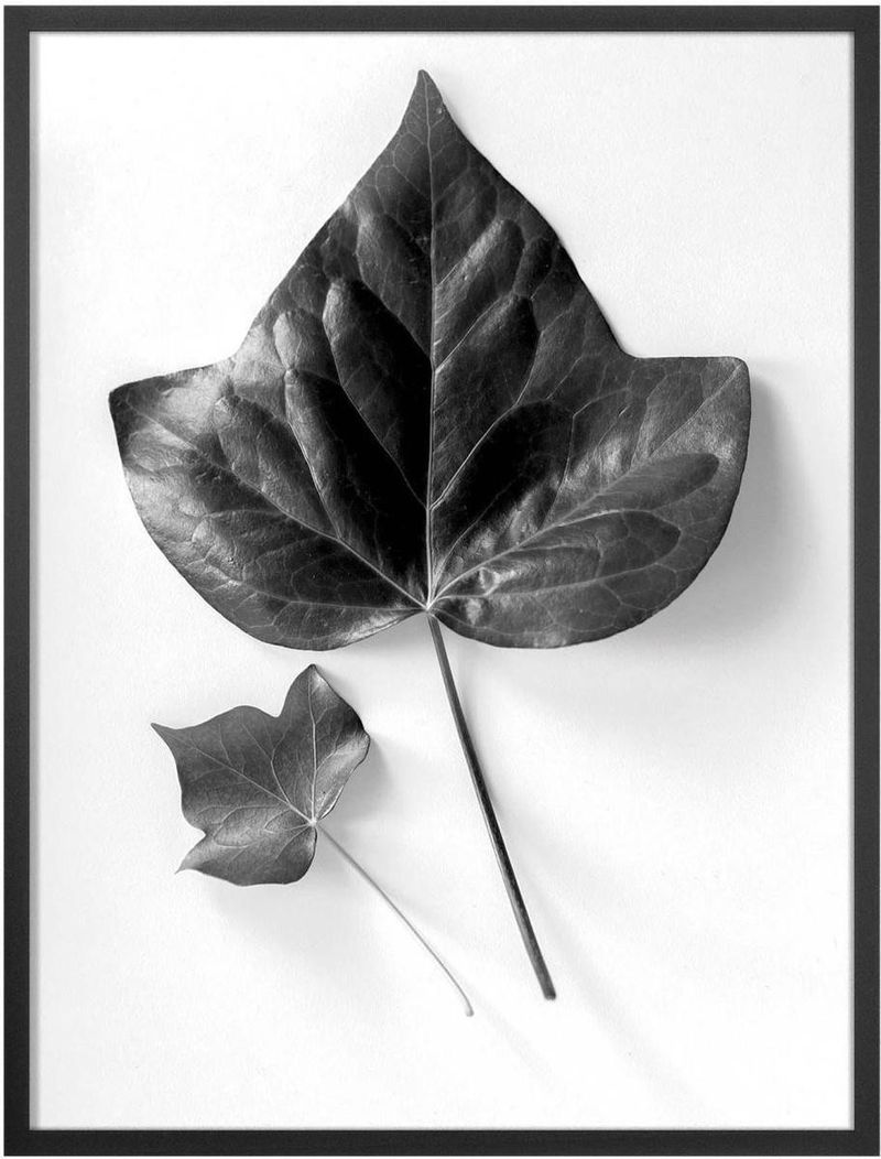 Quadro-Decorativo-Belchior-Folhagem-3-32x42cm