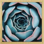 Quadro-Decorativo-Belchior-Folhagem-1-30x30cm