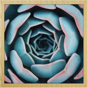 Quadro Decorativo Belchior Folhagem 1 30x30cm