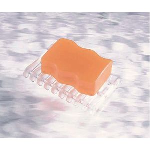 Saboneteira de Bancada Hudson Pacifico Lm Soap Savers Transparente