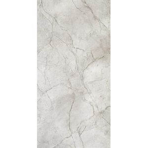 Porcelanato Elizabeth 62,5x125cm Maxi Silver Polido Retificado Classe A E3