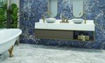 PORCELANATO-ELIZABETH-625X125-MAXI-SILVER-POLIDO-RETIFICADO-AE3-156