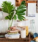 POTE-DE-MANTIMENTOS-VIDRO-OIKOS-11L-COM-TAMPA-BAMBU-CIRCULAR