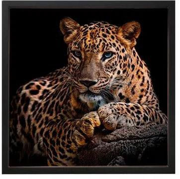 QUADRO-DECORATIVO-ARTE-PROPRIA-ONCA-PINTADA-70X100CM