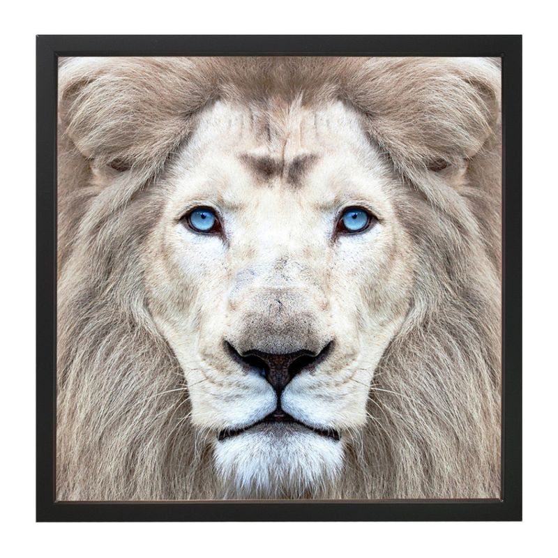 QUADRO-DECORATIVO-ARTE-PROPRIA-LEAO-BRANCO-100X100CM