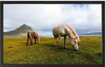 Quadro Decorativo Arte Própria Cavalo 80x50cm