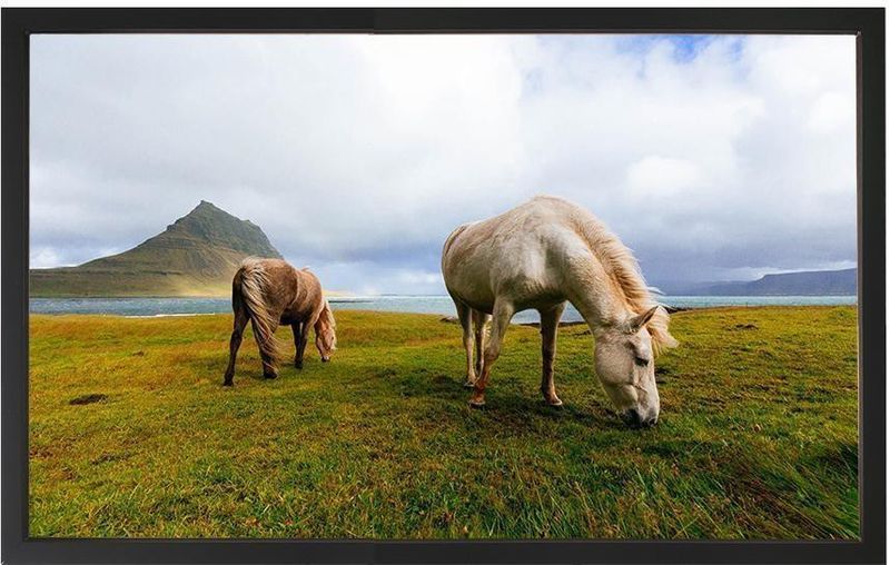Quadro Decorativo Arte Própria Cavalo 80x50cm