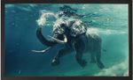 Quadro-Decorativo-Arte-Propria-Elefante-No-Mar-150x90cm