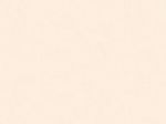 PORCELANATO-DELTA-63X63-VALENCIA-LOFT-IN-ACETINADO-RETIFICADA-A-HT-275