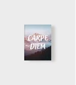 PLACA-DECORATIVA-ILLUMINATO-CARPE-DIEM-21X297X06CM