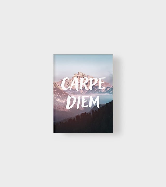 PLACA-DECORATIVA-ILLUMINATO-CARPE-DIEM-21X297X06CM