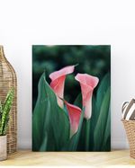PLACA-DECORATIVA-ILLUMINATO-FLOR-COPO-ROSA-21X297X06CM