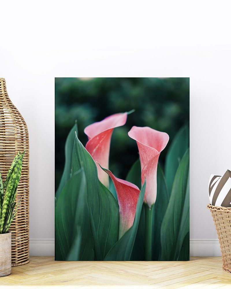 PLACA-DECORATIVA-ILLUMINATO-FLOR-COPO-ROSA-21X297X06CM
