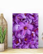 PLACA-DECORATIVA-ILLUMINATO-FLORES-ROXAS-21X297X06CM
