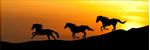 PLACA-DECORATIVA-ILLUMINATO-CAVALOS-POR-DO-SOL-38X108X06CM