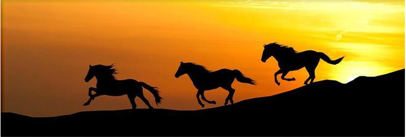 PLACA-DECORATIVA-ILLUMINATO-CAVALOS-POR-DO-SOL-38X108X06CM